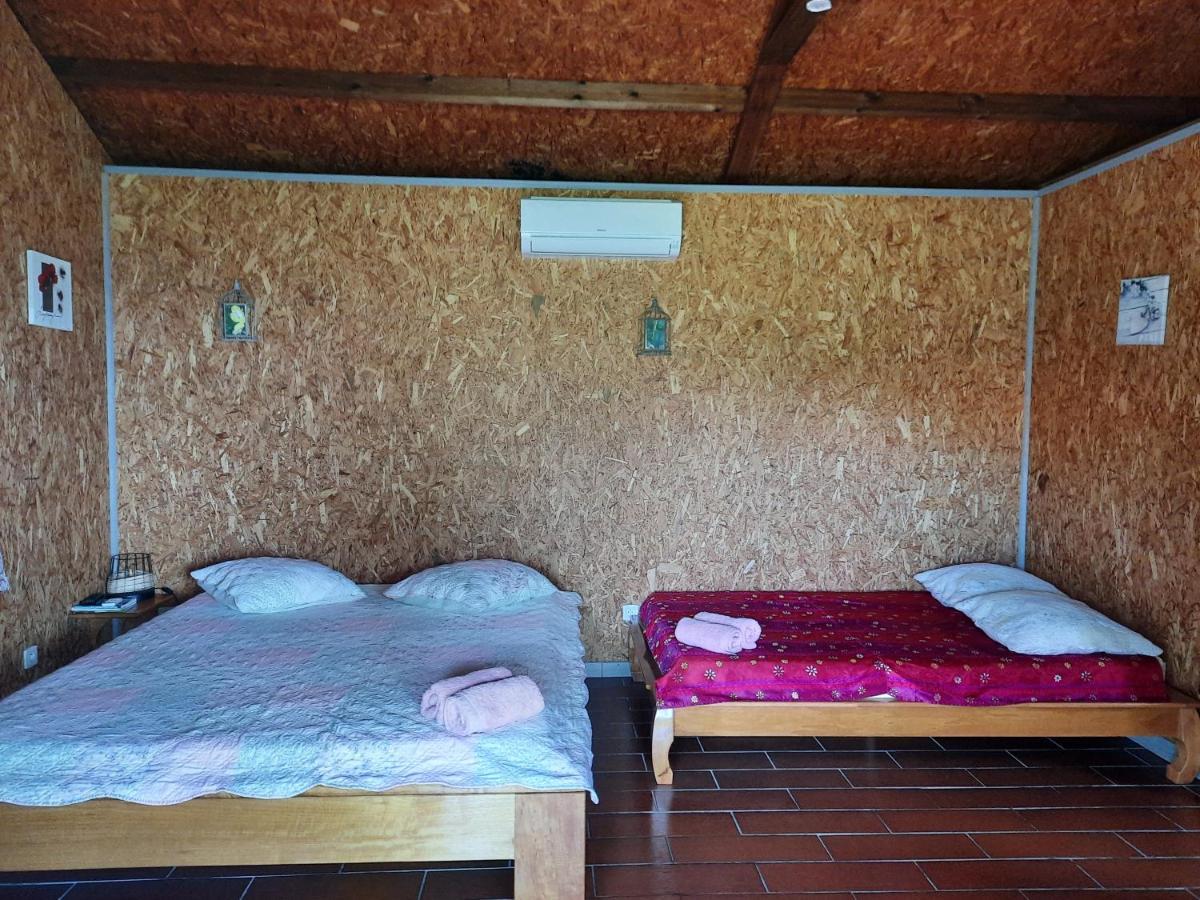 Ferme Auberge Le Ti'Planteur Saint-Philippe Dış mekan fotoğraf